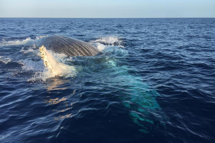 a man riding a wave on top of a body of water
