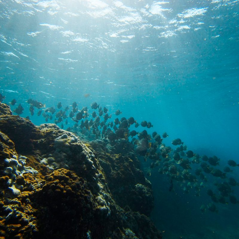 underwater view of a large rock
