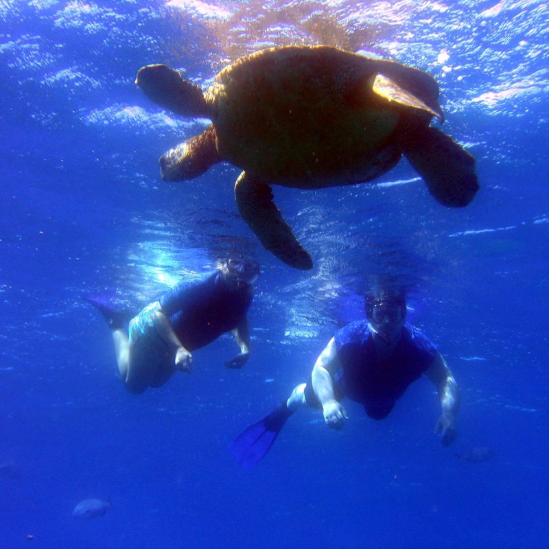 a person swimming in the water