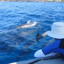 a group of people swimming in a body of water